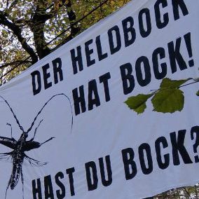 Geplanter Ausbau der A66 bei Frankfurt: Interview zur Besetzung im Fechenheimer Wald